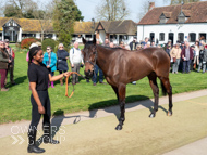 NH220326-32 - Thewoodcorner